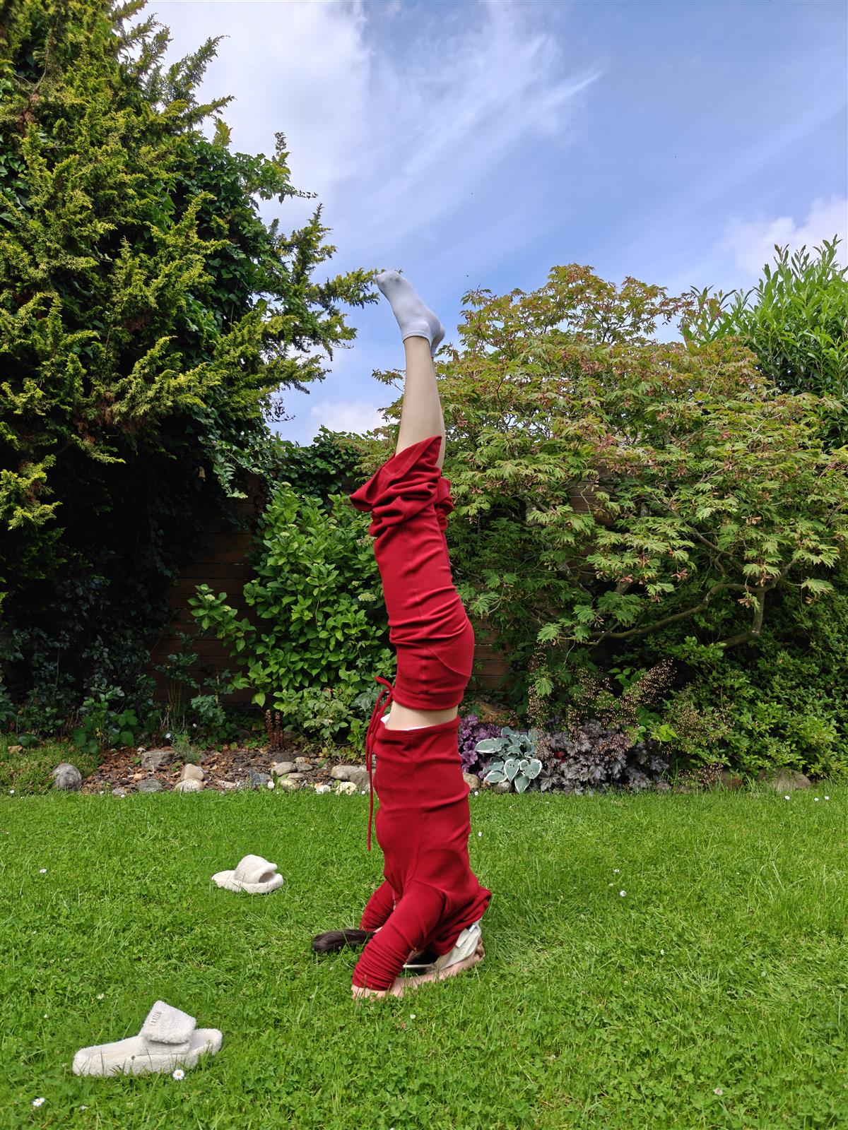 Teacher Lucky balancing in a headstand outdoors